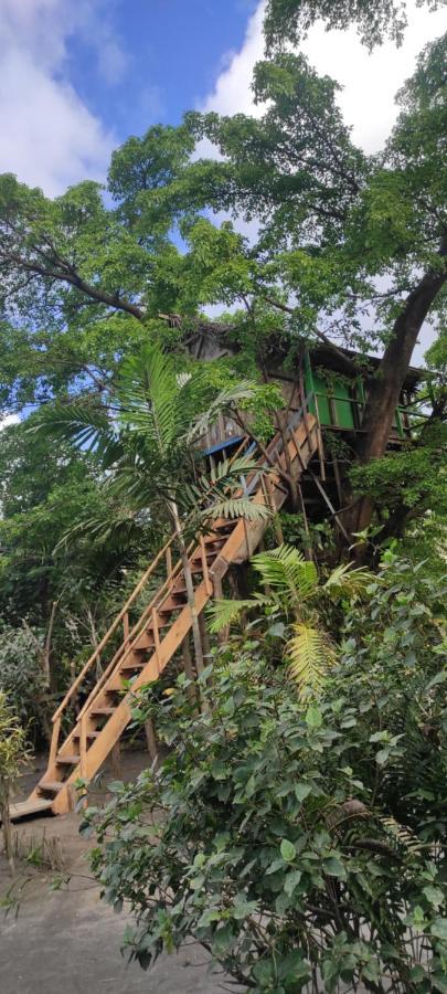 Tanna Volcano View Tree House Lenkuru Екстер'єр фото