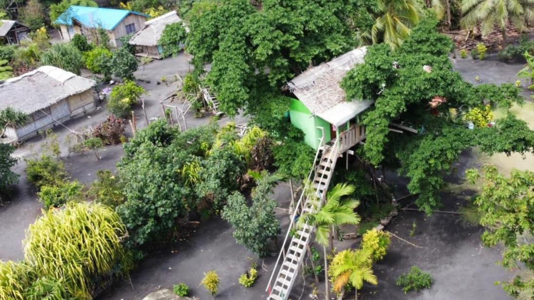 Tanna Volcano View Tree House Lenkuru Номер фото